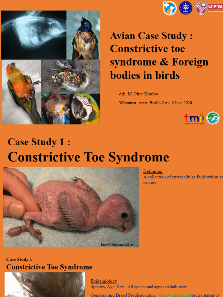 Avian Health Care PPT Kombo PDF Edema Respiratory System