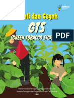 Kenali_dan_Cegah_GTS_Green_Tobacco_Sickness