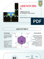 Adenovirus 1279848 Virología