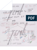 Femoral Nerve