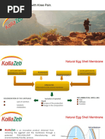 Kollazeb Presentation125