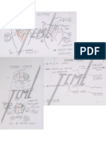 Femoral Triangle, Sheath