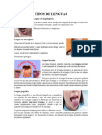 Tipos de Lenguas Rote de Semiología 1 PDF
