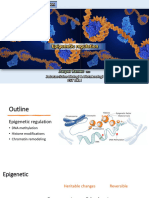 Lecture 6 - Epigenetic Regulation