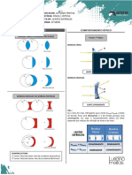 Lentes Esfã Ricas - Formaã Ã o de Imagens