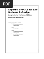 Exp SG SAP ICS ByDesign