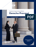 Brochure PSE Derecho Procesal