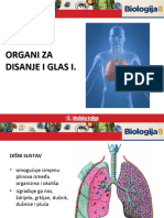 Organi Za Disanje I Glas I.