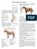 Semiologia - Documentos Google