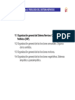 Tema 9.1. Organización General Del Sistema Nervioso Central (SNC) y Periférico (SNP) (Modo de Compatibilidad)