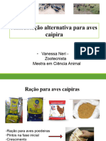 Alimentação Alternativa para Aves - Zoom