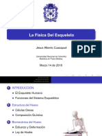 Fisica DEsqueleto