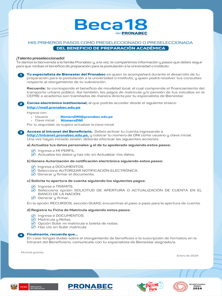 Guía para Preseleccionados Beca 18 | PDF | Informática