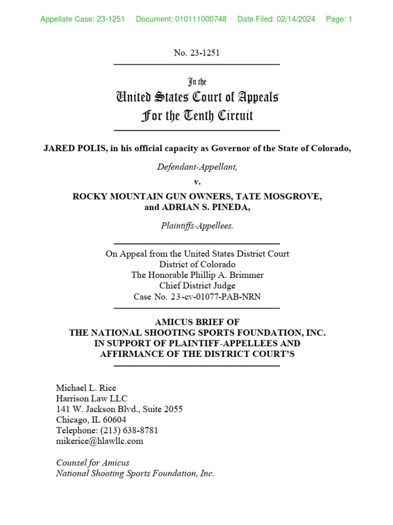 Amicus Brief on Second Amendment Rights | PDF | Second Amendment To The ...