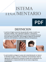 Sistema Tegumentario - 080108