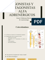 Adrenergicos Final