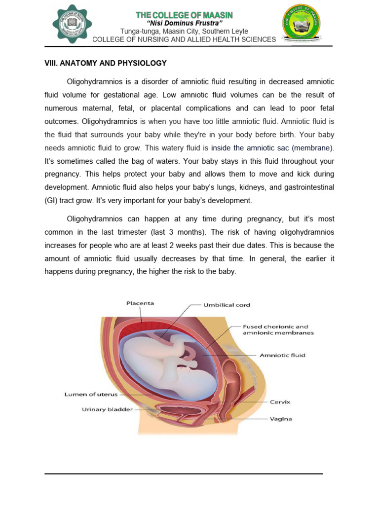 ANATOMY and PHYSIOLOGY | Download Free PDF | Fetus | Medical Specialties