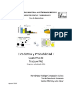 PAE Estadistica1