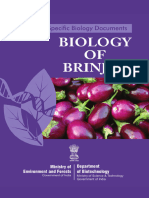 Biology of Brinjal in