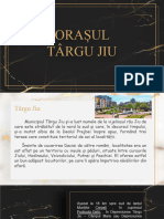 Orașul Târgu Jiu