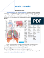 Aparatul Respirator