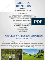 Seminario de Árboles Dispersos en SSP