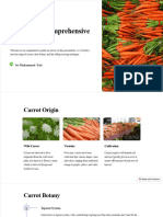 Carrots A Comprehensive Guide