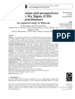 The Perceptions and Perspectives of Lean Six Sigma (LSS) Practitioners