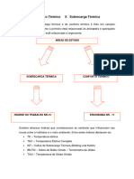 Conforto Termico x Sobrecarga Termica (1)