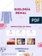 Fisiología Renal. Producción de La Orina