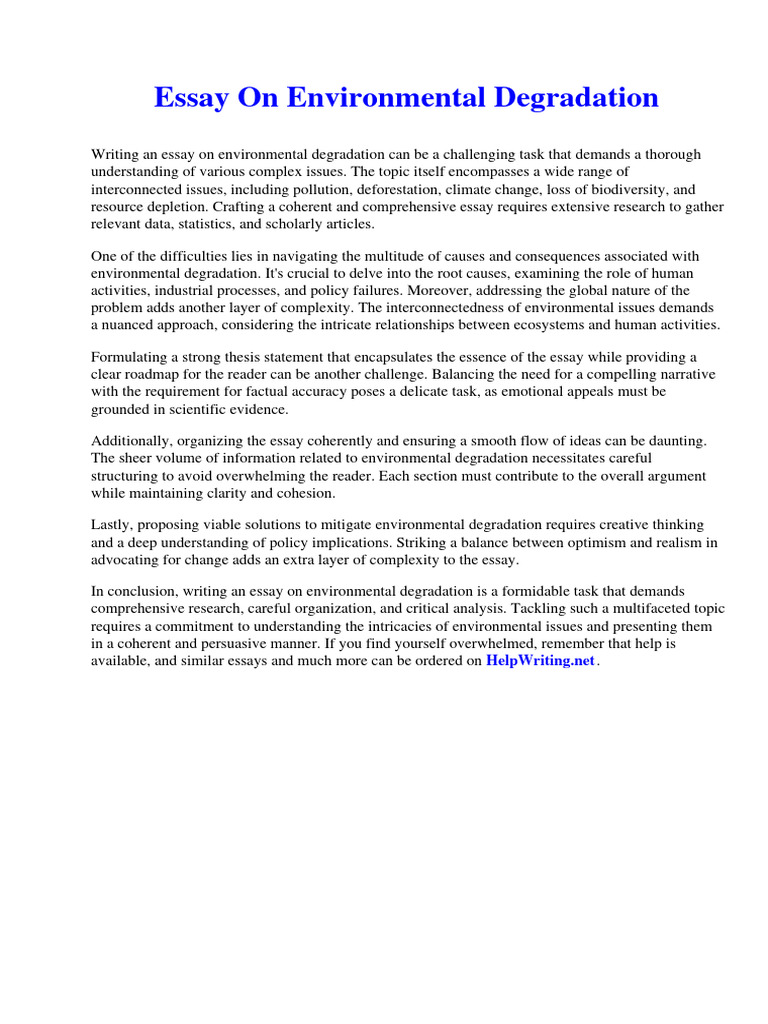 Essay On Environmental Degradation Pdf Net Present Value Essays