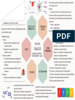 2.1 y 2.2 Biologia