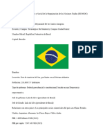 Position Paper - Brasil