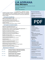 CV - Julia A. Sánchez Montero (Docente)