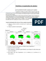 Exercices - Nutrition Et Organisation Des Plantes