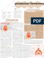 Notas Primera y Segunda Unidad