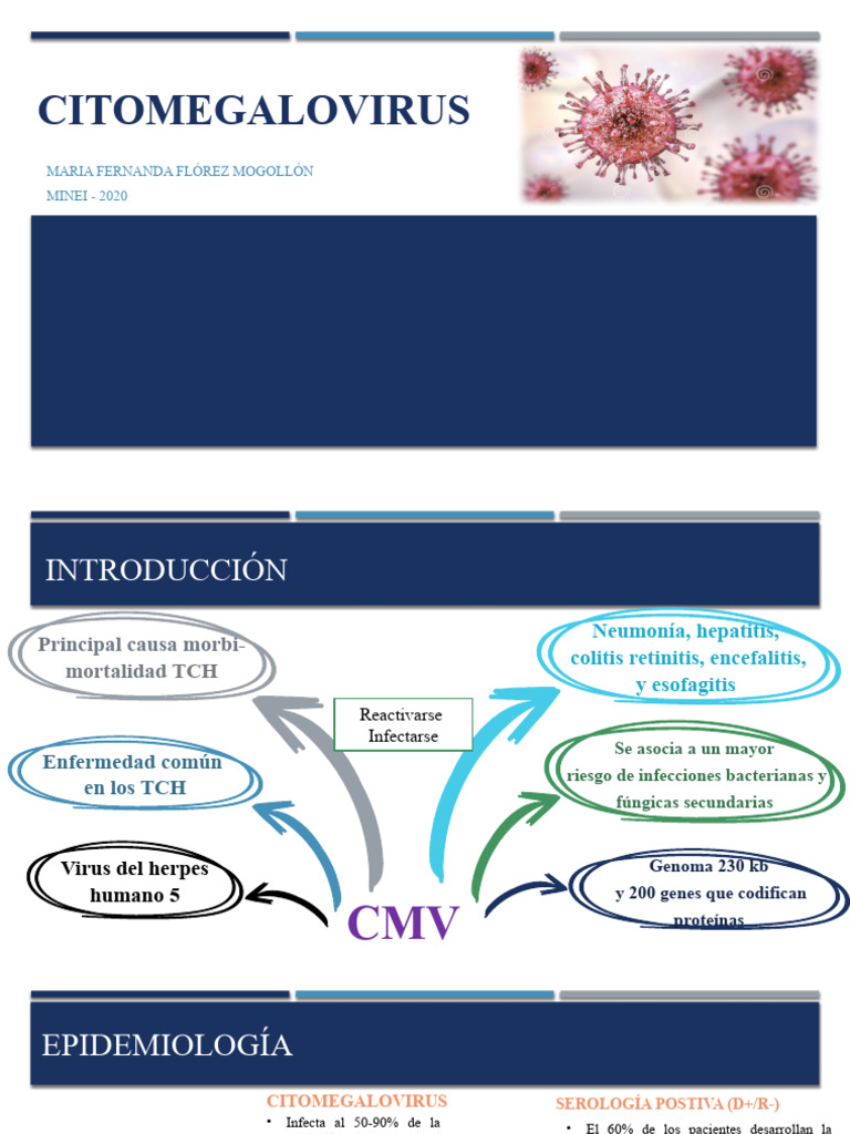 Citomegalovirus: Riesgos y Tratamientos en TCH | PDF | Virus ...