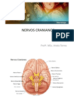 NEUROANATOMIA Slide 6 - Nervos Cranianos PDF