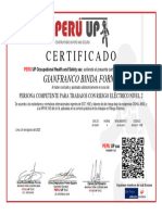 Certificado de Riesgos Electricos - Gianfranco Binda Forno