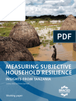 Measuring Subjective Household Resilience: Insights From Tanzania