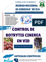 Botrytis Cinerea - Va