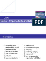 CH 6-Social Resp & NGOs