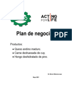 1 Plan de Negocios CCAIJO Rev