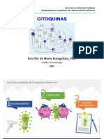 T.2.2 - Citoquinas - Dra. Flor Evangelista. 2023