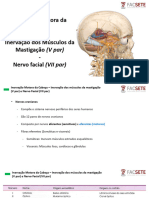 09 - Aula - Inervação Motora Da Cabeça - Inervação Dos Músculos Da Mastigação e Nervo Favial VII Par