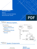 2 - Overview of Human Systems - Neuromuscular Contro