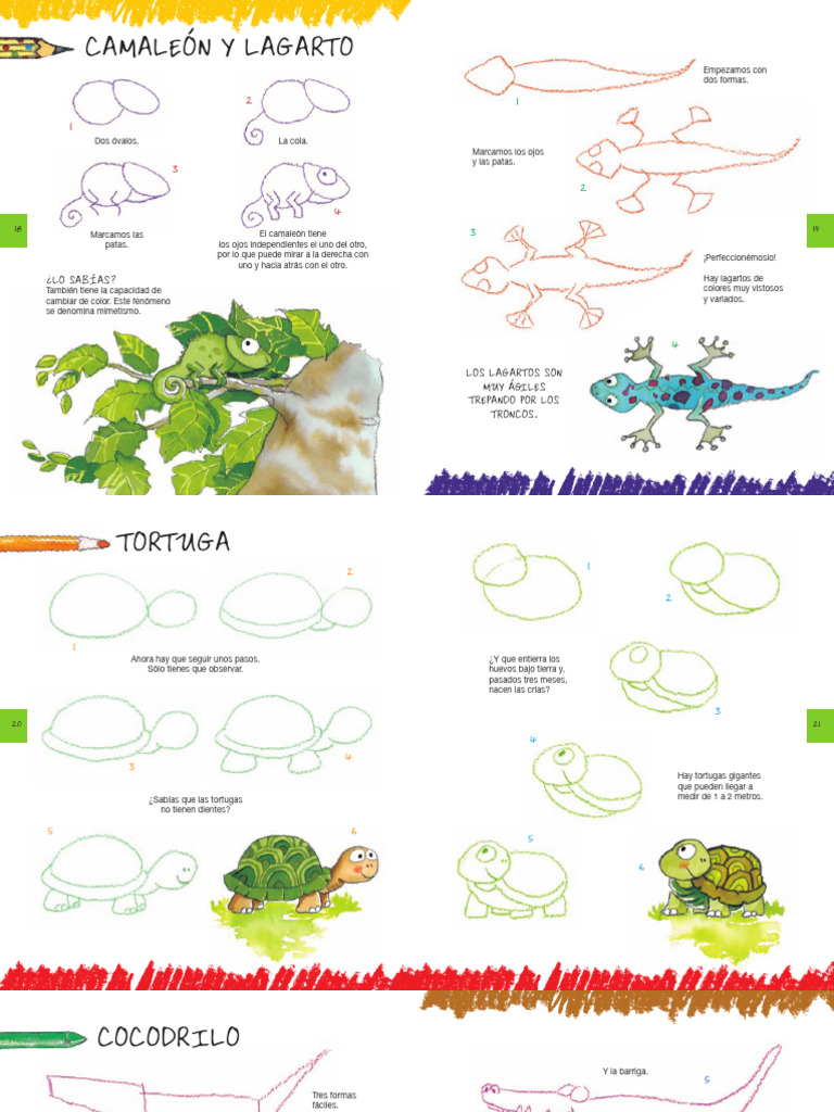 LA SELVA Rosa M. Curto-2 | PDF | Aves