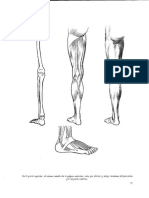 Para Aprender A Dibujar La Figura Humana.