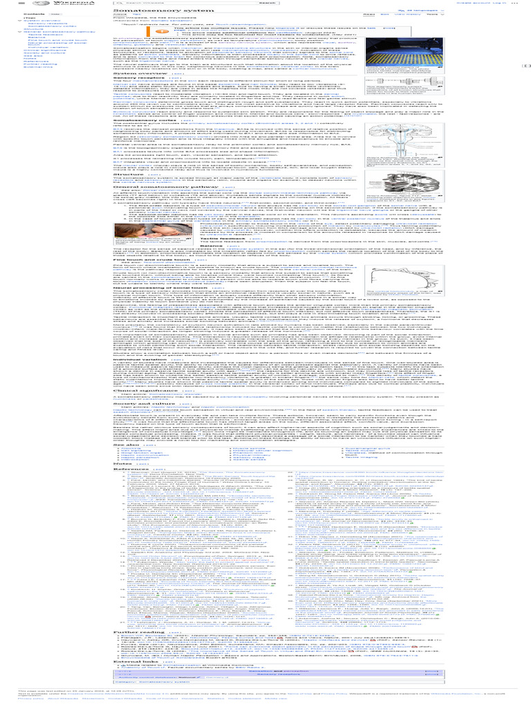 Somatosensory System - Wikipedia | PDF | Somatosensory System | Brain