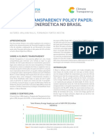 Brazilian Policy Paper PT